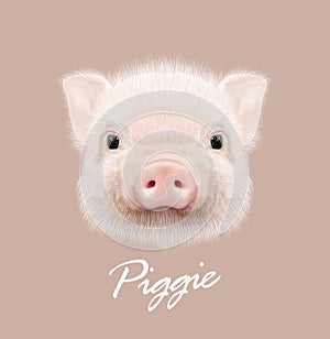 Vector illustrated portrait of farm pig.