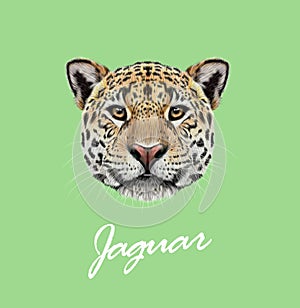 Vector Illustrated portrait of Jaguar
