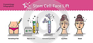 Vector Illustrated set with cosmetology stem cell facelift