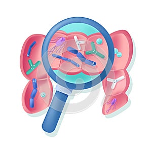 Vector illustration abstract bowel under magnifying glass. It shows bacteria of normal flora