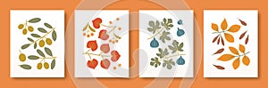 Vector illustration abstract still life of tree branches and their fruits in pastel colors. Set of illustrations of tree