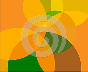 Vector illustration abstracts of an orange background
