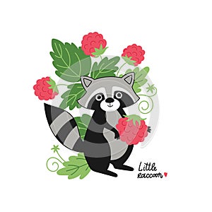 Vector illustration with adorable raccoon