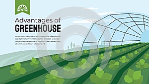 Greenhouse cultivation in agriculture.  Design template for horticulture or agronomy. photo