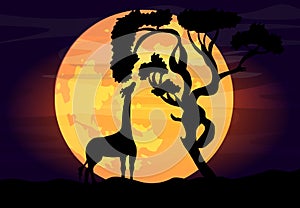 Vector illustration of an African landscape with wildlife on a night scene, full moon and night sky