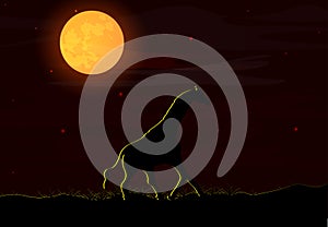 Vector illustration of an African landscape with wildlife on a night scene, full moon and night sky