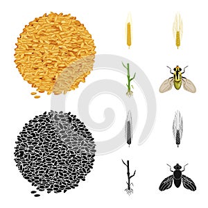 Vector illustration of agriculture and farming icon. Collection of agriculture and plant stock vector illustration.