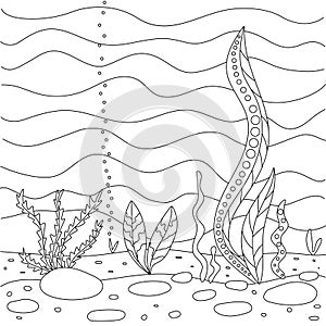 Vector illustration with algae, sea bottom. Simple funny children`s drawing. Cute coloring book for small children.