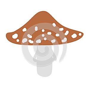 Vector illustration of Amanita mushroom. Poisonous toadstool fly agaric. White spotted red mushroom isolated on white