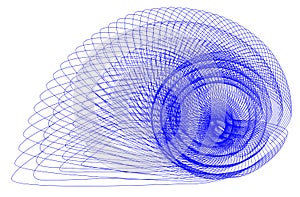 Vector Illustration Ammonite