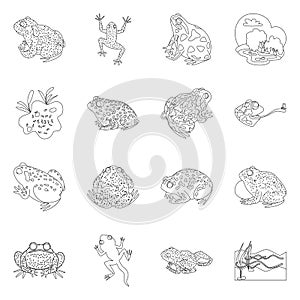 Vector illustration of amphibian and animal logo. Collection of amphibian and nature stock symbol for web.