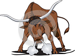 Angry Longhorn Bull Illustration photo