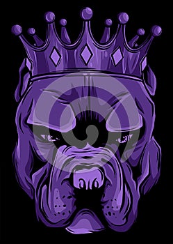 Vector illustration Angry pitbull head with crown