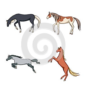 Vector illustration of animal and stallion sign. Collection of animal and farm stock vector illustration.