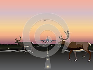 Vector Illustration- Animals crossing runway while aricraft approaching for landing