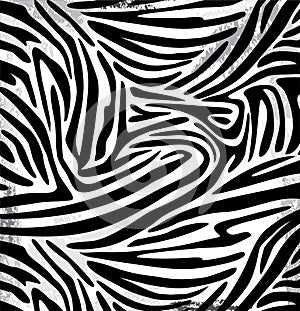 Vector illustration of animals skins. Zebra skin