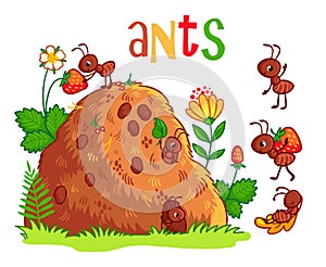 Vector illustration with an anthill and ants.