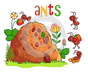 Vector illustration with an anthill and ants. photo
