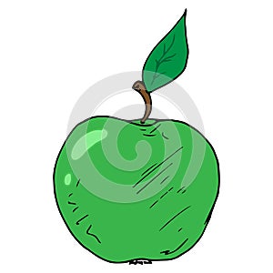 Green apple icon. Vector illustration of an apple. Hand drawn