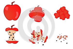 Vector illustration of an apple.