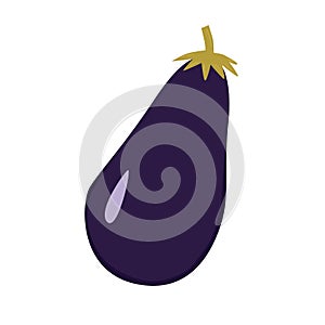 Vector illustration, aubergine in flat style with texture. Organic food concept illustration for kids desings and healthy food