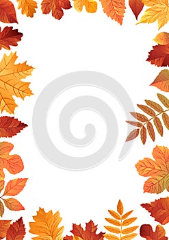 Vector illustration of Autumn falling leaves. Seamless borders isolated on white background