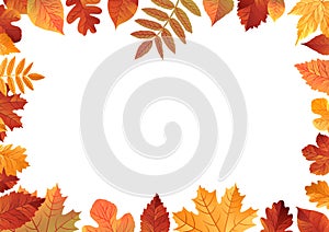 Vector illustration of Autumn falling leaves. Seamless borders isolated on white background