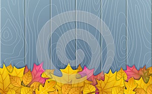 Vector illustration of autumn leaves on wooden blue background. top view