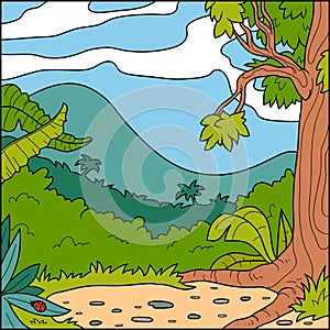 Vector illustration, background (forest glade)