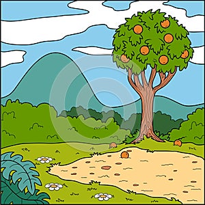 Vector illustration, background (glade and orange tree)