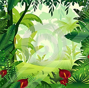 Vector illustration of background jungle lawn in morning time. Bright colorful jungle with ferns, trees, bushes, vines