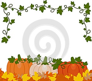 Vector illustration of a background of orange and white pumpkins