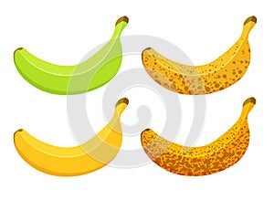 Vector illustration of banana ripeness isolated on white background.