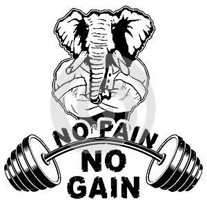 Vector illustration barbell and strong elephant.