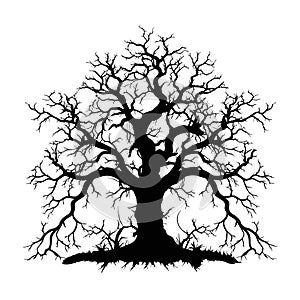 Vector illustration. Bare tree silhouette without barren leaves dead no scary black life. Hand drawn. Isolated on white