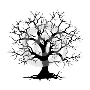 Vector illustration. Bare tree silhouette without barren leaves dead no scary black life. Hand drawn. Isolated on white