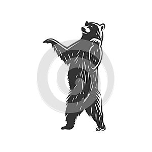 Vector illustration of bear