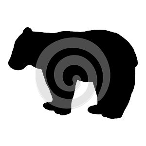 Vector illustration of a bear. Black silhouette on a white background.