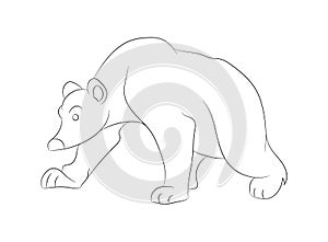 Vector illustration of a bear standing, line drawing, vector