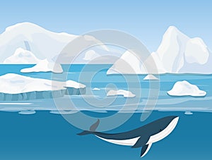 Vector illustration of beautiful arctic landscape of northern and Antarctic life. Icebergs in ocean and underwater world