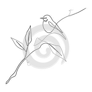 Vector Illustration of Beautiful Bird Line Art Drawing