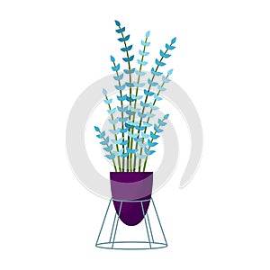 Vector illustration beautiful decorative plant in forged stand, potted home indoor plant. Long branches with blue leaves