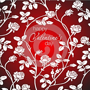 Vector illustration of beautiful white roses and happy Valentine`s day greeting.