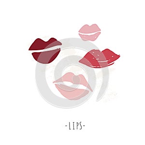 Vector illustration of a beautiful Woman s lips