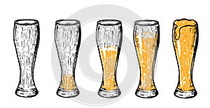 Beer in glass different amount set