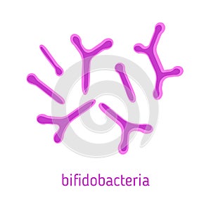 Vector illustration of bifidobacteria