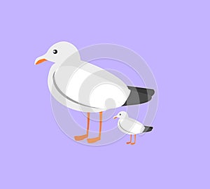 Vector illustration big mother seagull and little seagull, seabird on a plain background in flat style