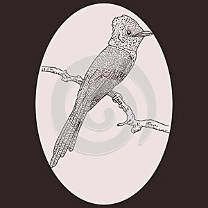 Vector illustration of a bird