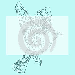 Vector illustration of a bird