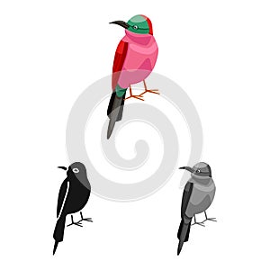 Vector design of bird and bee-eater symbol. Collection of bird and wing vector icon for stock.